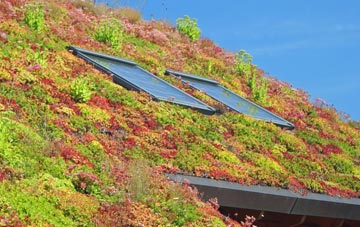 Hunsingore living roof systems